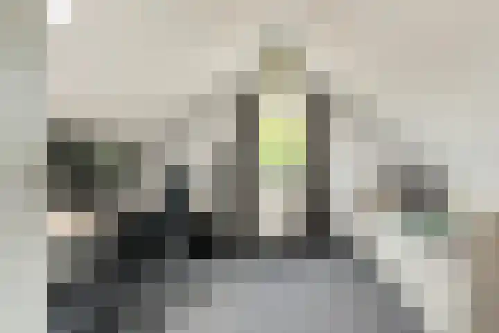 Berkenschakel 7 Bathmen thumbnail 24