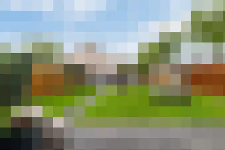 Berkenschakel 7 Bathmen thumbnail 28