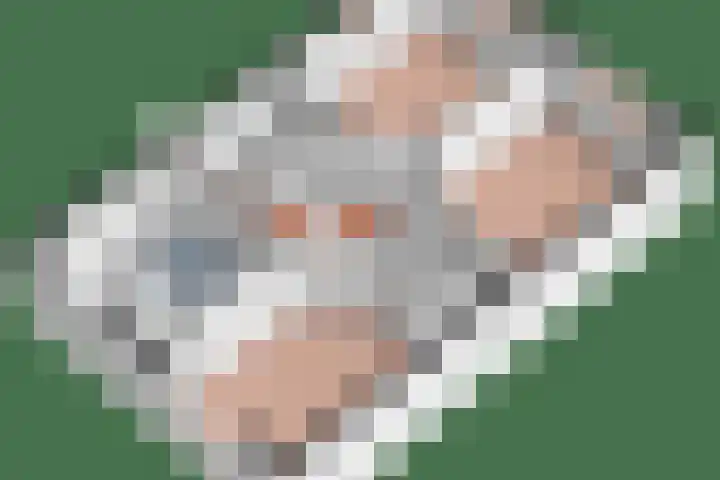 Berkenschakel 7 Bathmen thumbnail 33