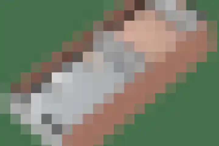 Berkenschakel 7 Bathmen thumbnail 34