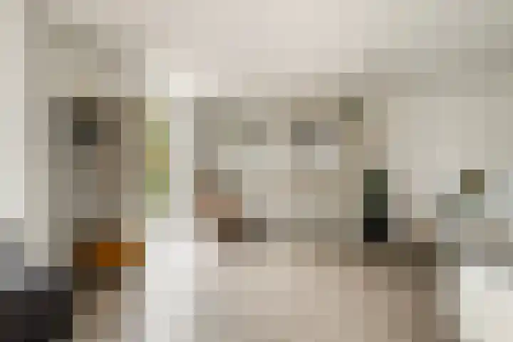 Berkenschakel 7 Bathmen thumbnail 4
