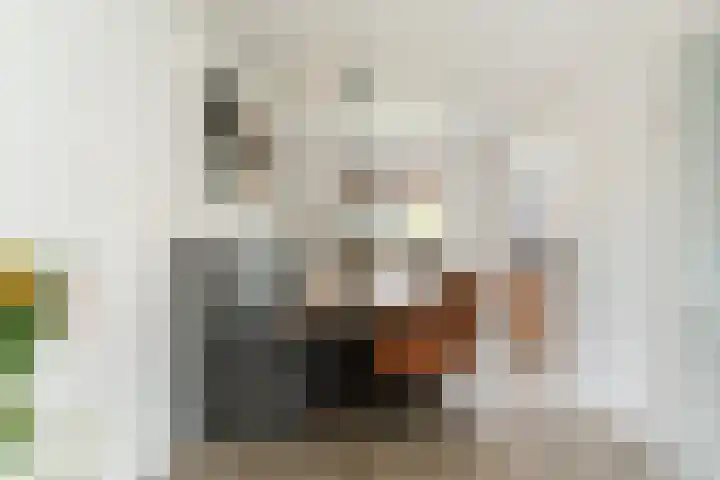 Berkenschakel 7 Bathmen thumbnail 6