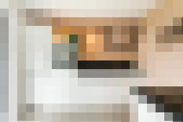 Berkenschakel 7 Bathmen thumbnail 9