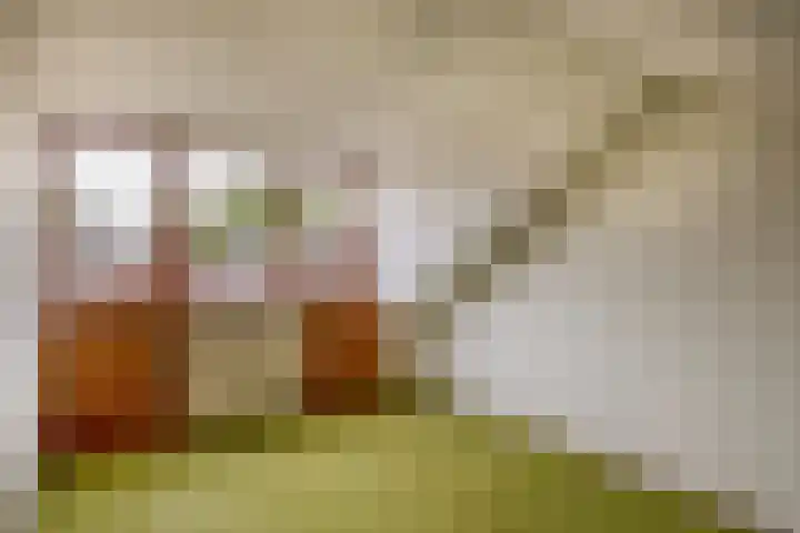 Berkenstraat 53 Deurne thumbnail 33