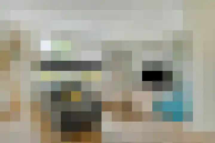Berkenstraat 7 Deurne thumbnail 10