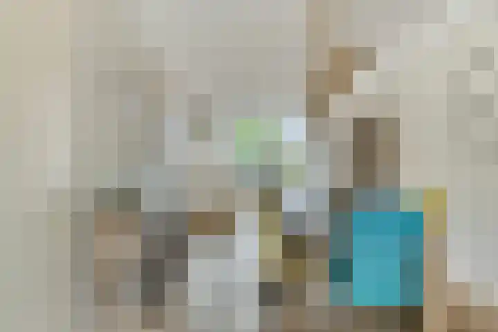 Berkenstraat 7 Deurne thumbnail 12
