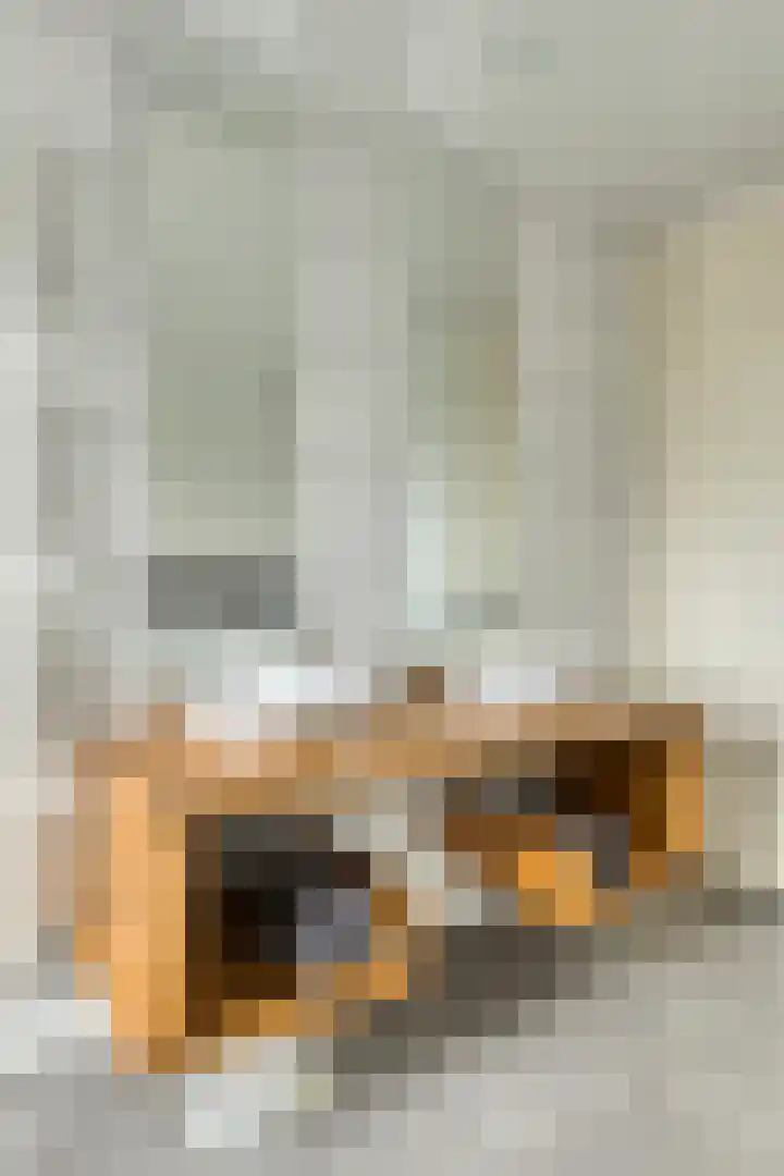 Berkenstraat 7 Deurne thumbnail 25