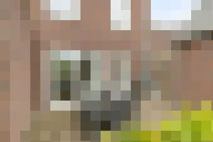 Berkenstraat 7 Deurne thumbnail 30