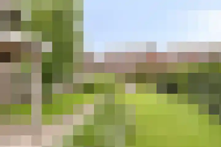 Berkenstraat 7 Deurne thumbnail 33