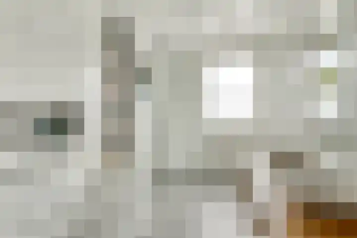 Berkenstraat 7 Deurne thumbnail 4