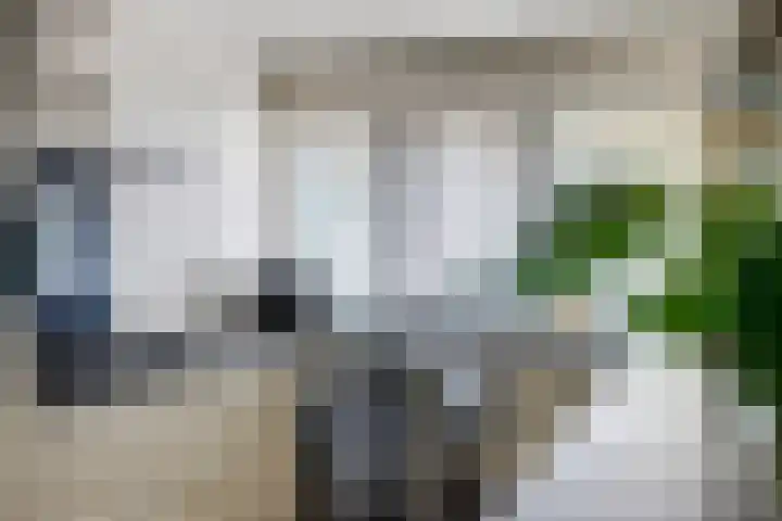 Berkhof 59 Gendt thumbnail 12