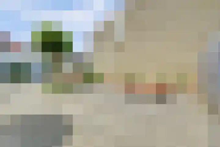 Berkhof 59 Gendt thumbnail 39