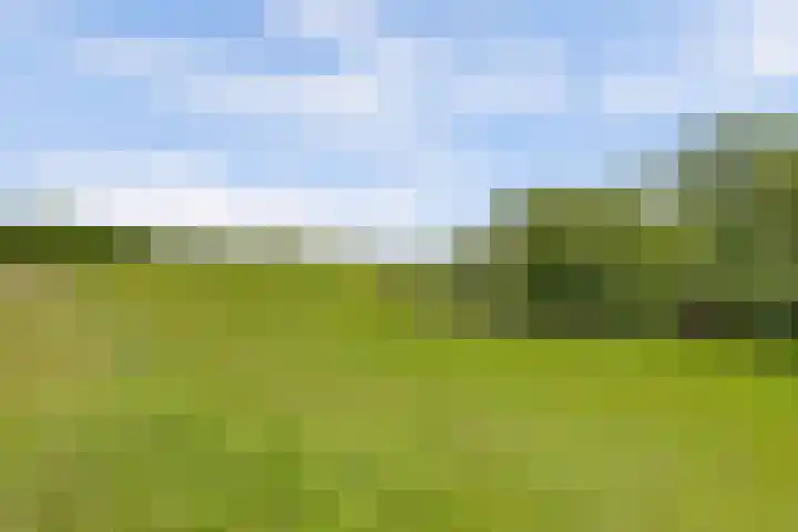Berkhof 59 Gendt thumbnail 41