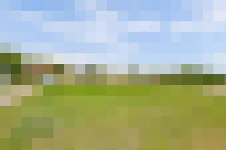 Berkhof 59 Gendt thumbnail 42