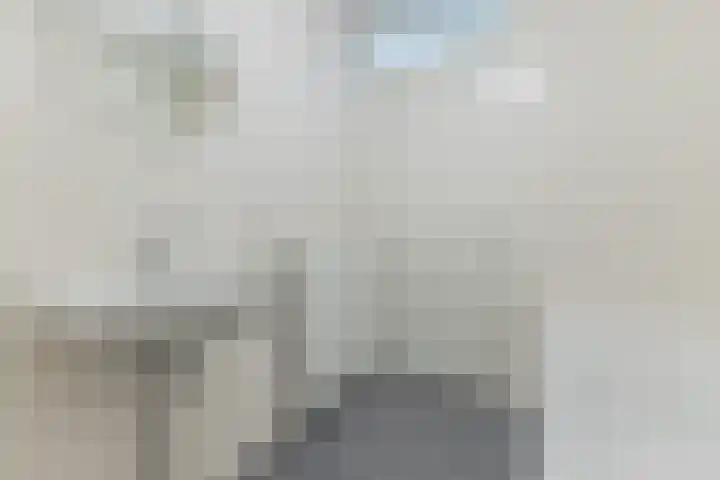 Berlagelaan 20 Haarlem thumbnail 24