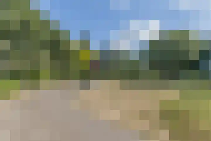 Berlagelaan 20 Haarlem thumbnail 34