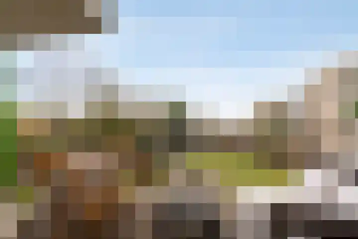 Berlagelaan 34 Haarlem thumbnail 30