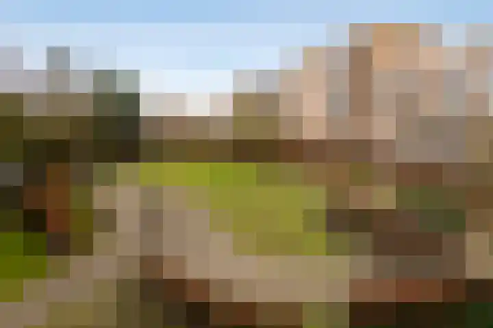 Berlagelaan 34 Haarlem thumbnail 31