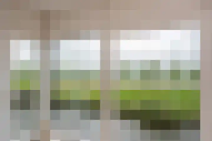Berlageplan 29 Zoetermeer thumbnail 12