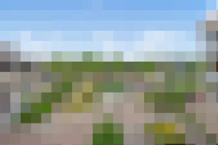 Berlageplan 29 Zoetermeer thumbnail 20
