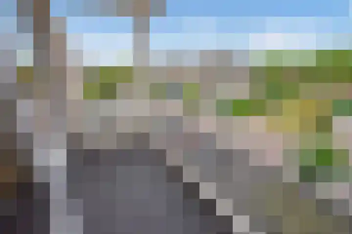 Berlageplan 29 Zoetermeer thumbnail 23