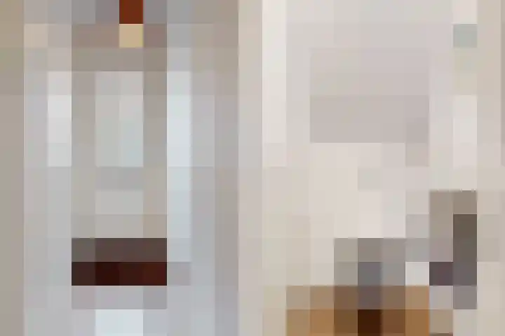 Berlageplan 29 Zoetermeer thumbnail 32