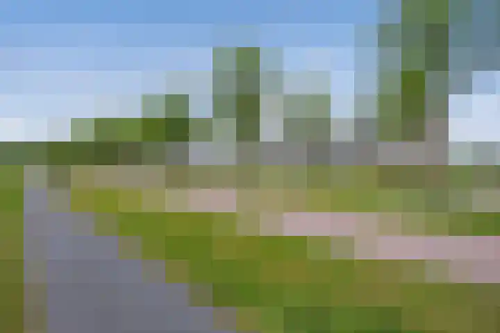 Berlageplan 29 Zoetermeer thumbnail 35