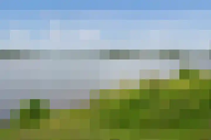 Berlageplan 29 Zoetermeer thumbnail 37