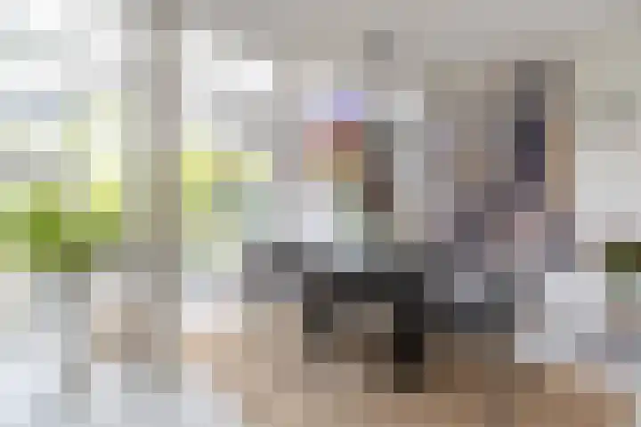 Berlageplan 71 Zoetermeer thumbnail 11