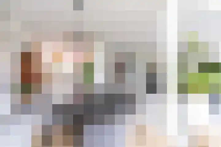 Berlageplan 71 Zoetermeer thumbnail 12