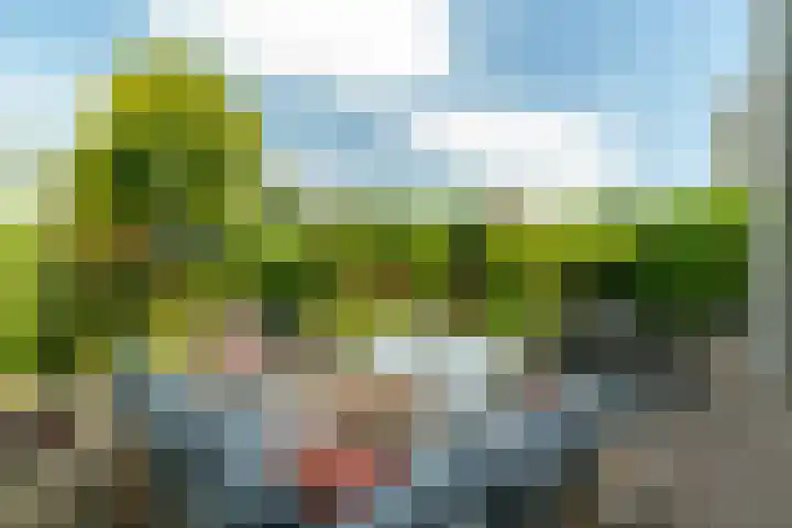 Berlageplan 71 Zoetermeer thumbnail 15