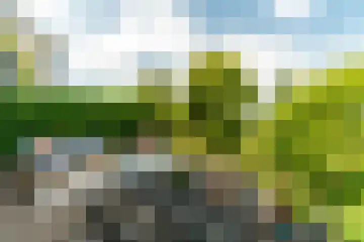 Berlageplan 71 Zoetermeer thumbnail 16