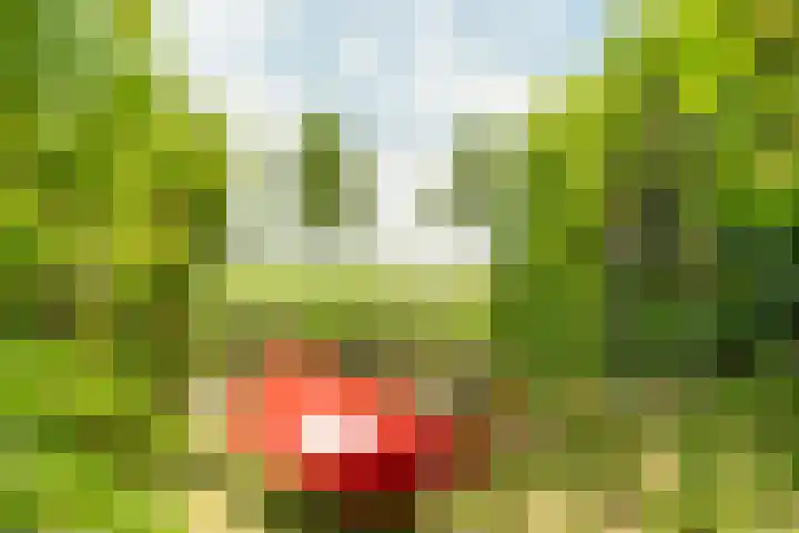 Berlageplan 71 Zoetermeer thumbnail 17