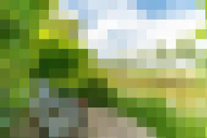 Berlageplan 71 Zoetermeer thumbnail 19