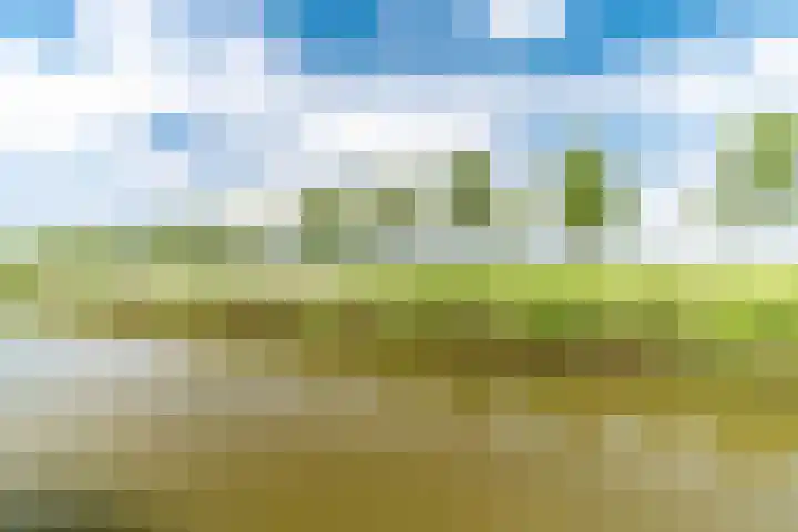 Berlageplan 71 Zoetermeer thumbnail 22