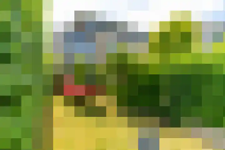 Berlageplan 71 Zoetermeer thumbnail 23