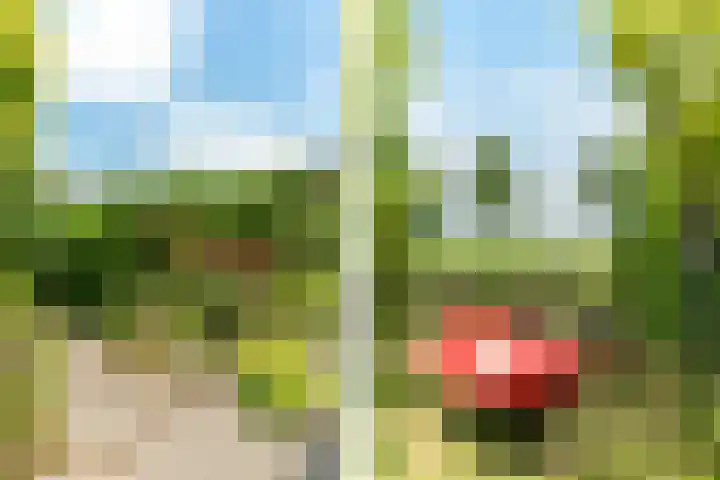 Berlageplan 71 Zoetermeer thumbnail 24
