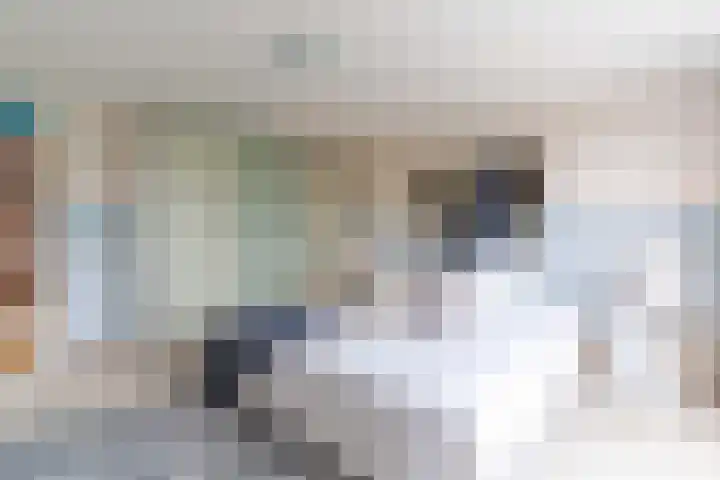 Berlageplan 71 Zoetermeer thumbnail 31