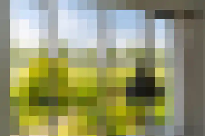 Berlageplan 71 Zoetermeer thumbnail 38