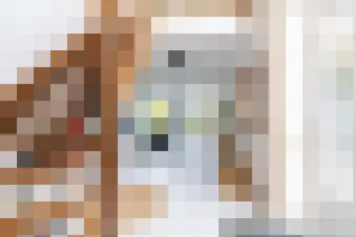 Berlageplan 71 Zoetermeer thumbnail 4