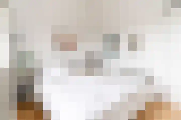 Berlageplan 71 Zoetermeer thumbnail 42