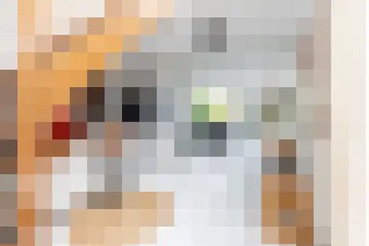 Berlageplan 71 Zoetermeer thumbnail 5