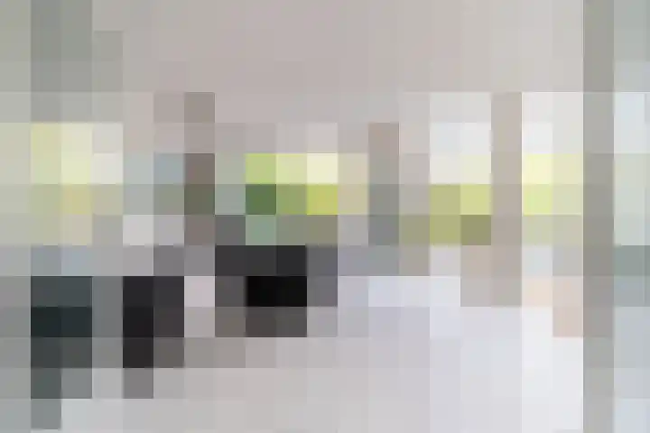 Berlageplan 71 Zoetermeer thumbnail 6