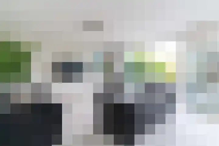 Berlageplan 71 Zoetermeer thumbnail 7