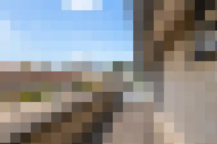Berlijnhof 9 Woerden thumbnail 23