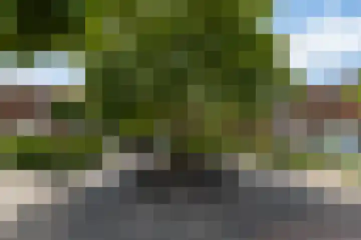 Berlijnhof 9 Woerden thumbnail 5