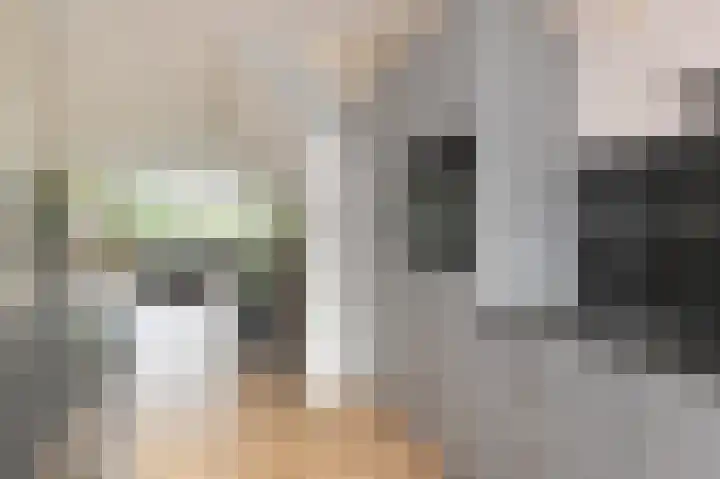Berliozrode 17 Zoetermeer thumbnail 11