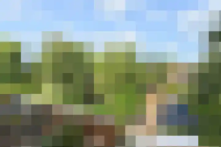 Berliozrode 17 Zoetermeer thumbnail 20