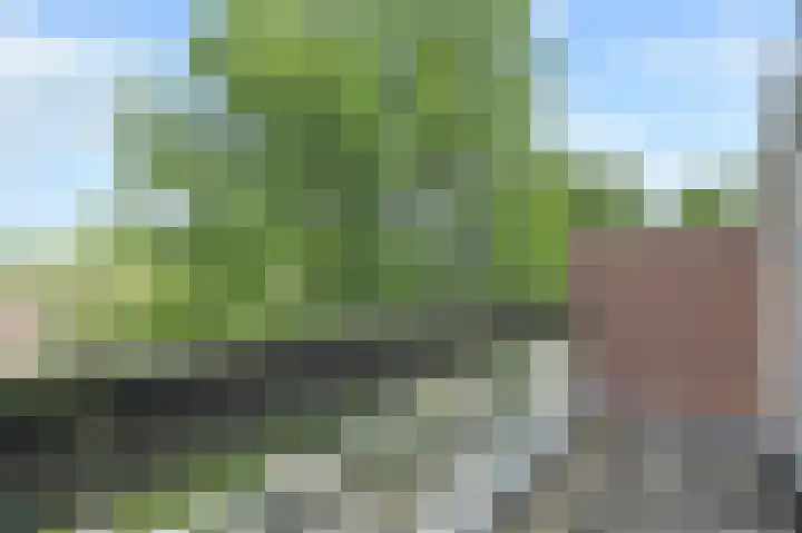 Berliozrode 17 Zoetermeer thumbnail 33