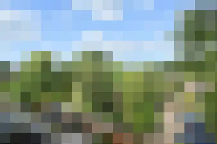 Berliozrode 17 Zoetermeer thumbnail 35